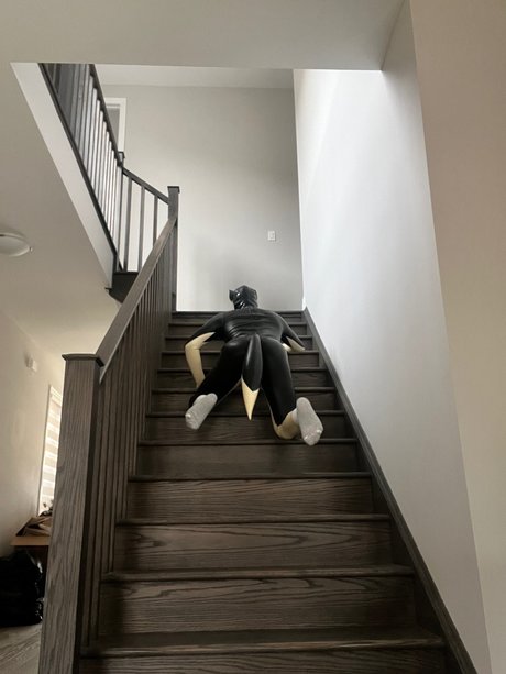 Alistair Alvarez pornstar sex images