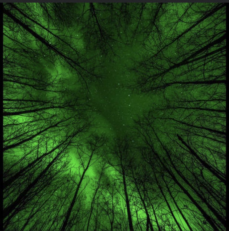 Ocean Irving nude star archive