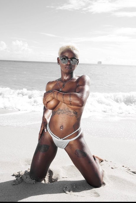 African Delight_ star xxx img