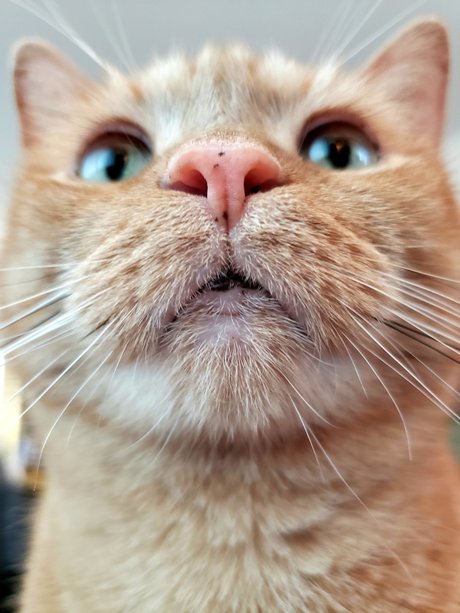 onlytabs perfect pornstar archive