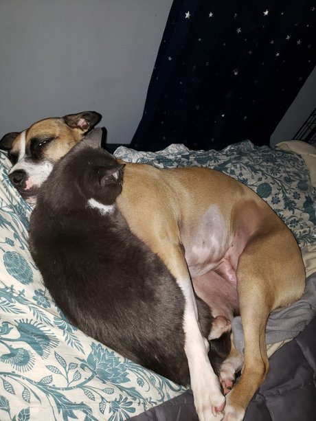 onlytabs hot star photos