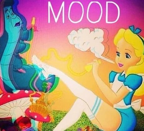 Stoner Beauty Feet model pretty pic