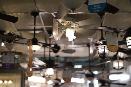 Austin Zeli pornstar perfect img