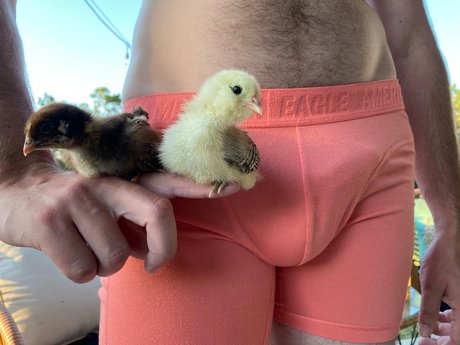 Only Chicken Fans pornstar free galleries