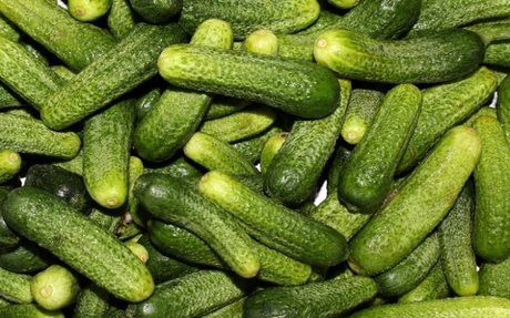 OnlyPickles naked actress img