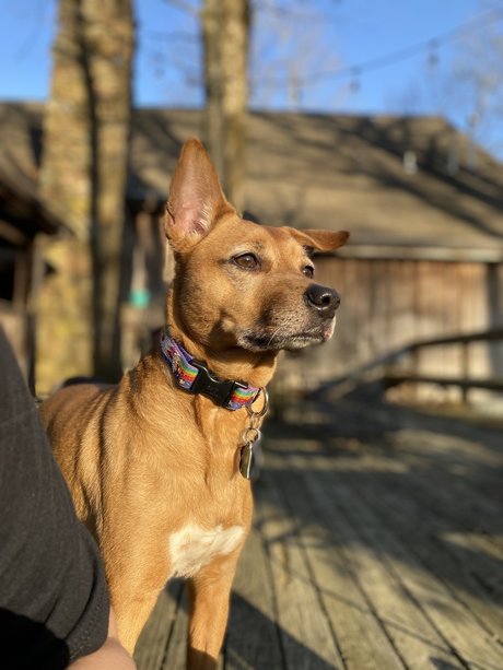 Kat G naked actress pictures