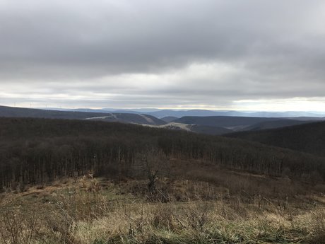 Papa_ star pretty photos