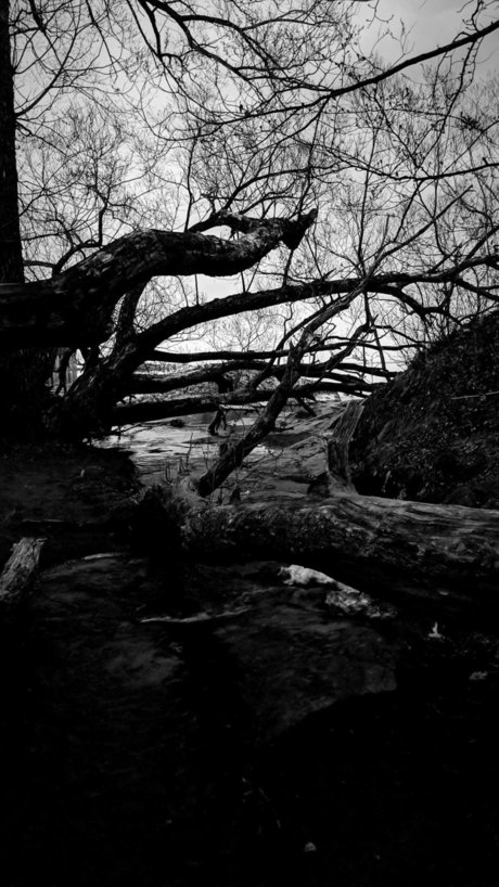 Faceless model naked pics