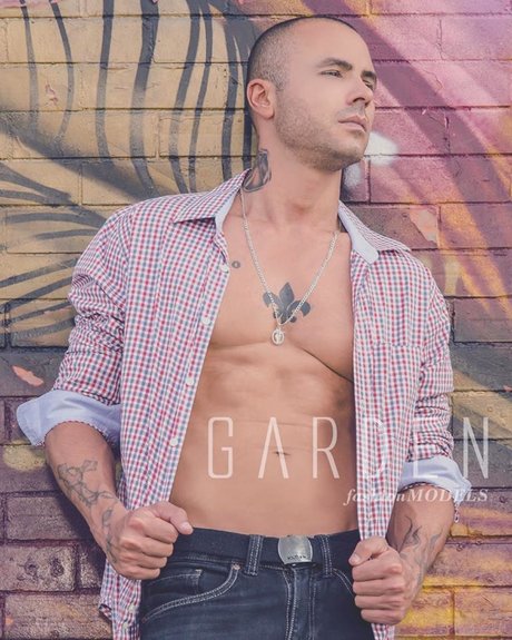 Olavocar nice model gallery