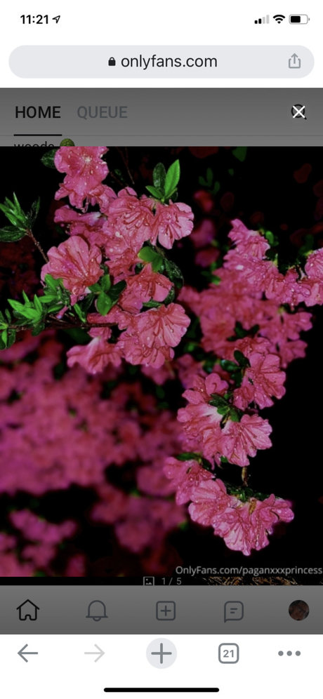 Joanna Belle exclusive star photo