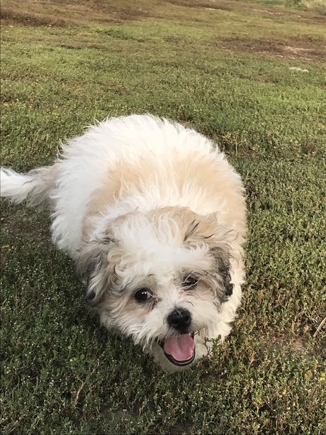 Paash erotic star archive