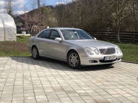 Ovidiu erotic model image