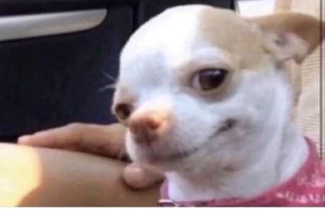 Orrion nude pornstar archive