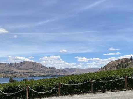 Ajai Sithe star pornographic galleries