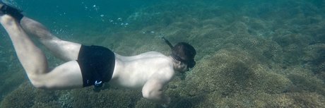 G Araiza Alan hot star galleries