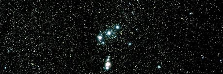 Nex erotic pornstar archive