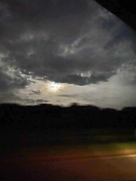 oralgoddess pornographic actress pictures