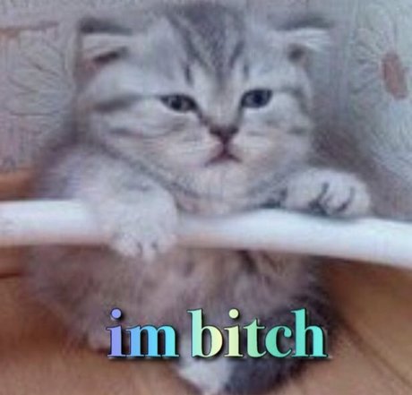 phoenix princess beautiful star pictures