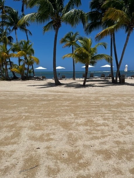 Papi Gambino star nude img