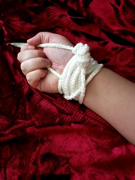 AnnaRose pornstar erotic archive