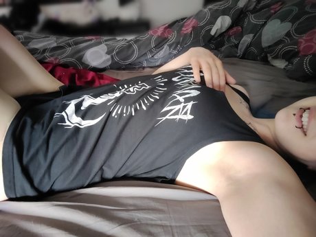 Paniline star free images