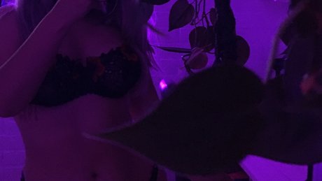 pam pornstar adult pictures