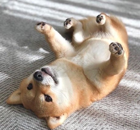 asherahsweetie_ exclusive model picture