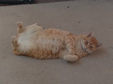 Domain8 photography hd star picture