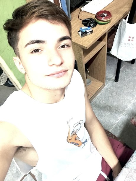 El peripatetico pornstar art image