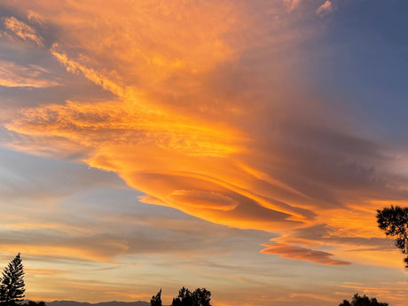 Pedro Martinez sexy star pictures