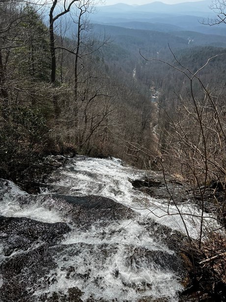 PeachStateBears pornstar top image