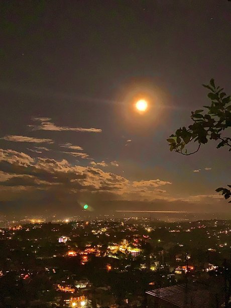 PBXDICKSLANGER nude pornstar image