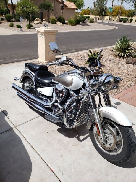 Paul Pettit exclusive star pics