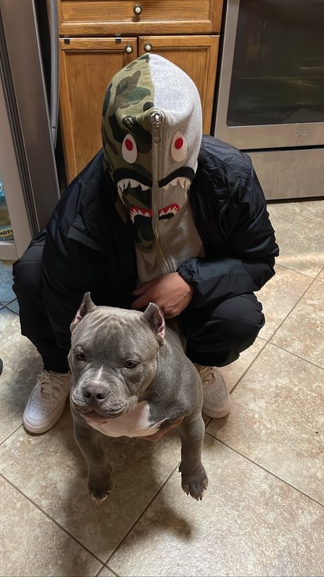 Francesco star best pic