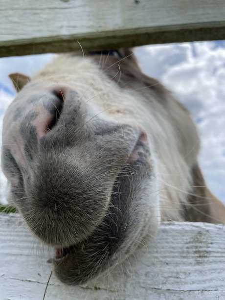 DaddyLongLegz xxx model photos