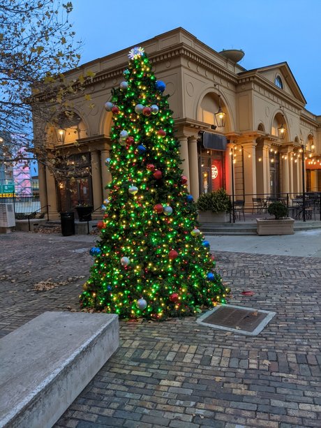 joseph King model adult photo