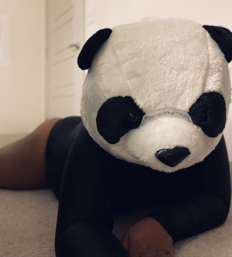 PlayBear high quality model picture