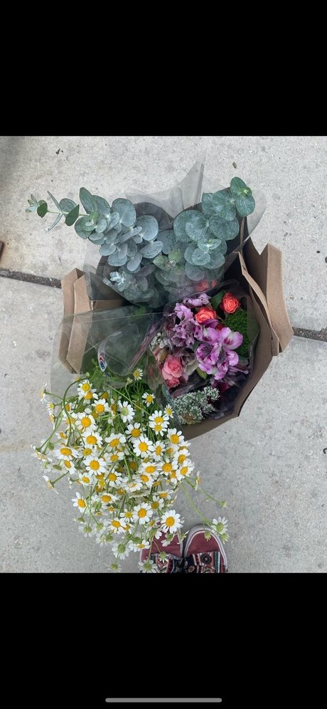 sweet pixii babe star best gallery