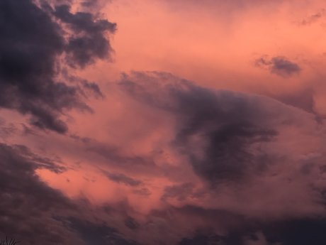 chels high quality actress images