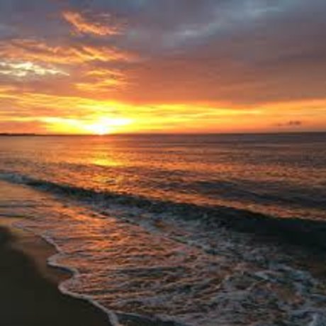 Daniel Mar pornstar nice pics