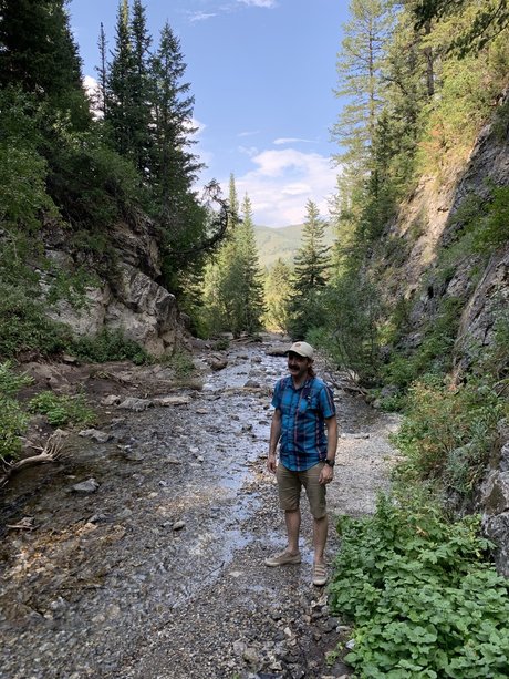 Dug Schorpion star adult pictures