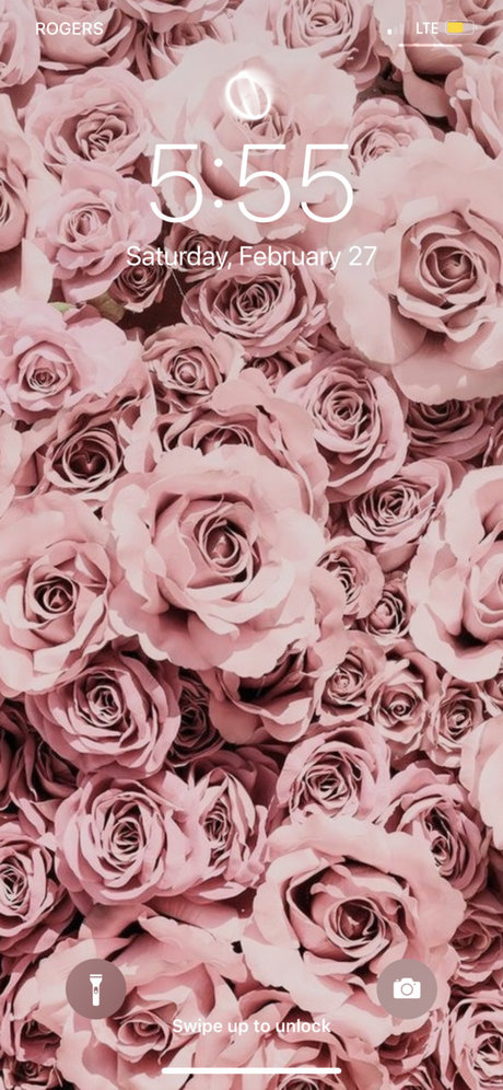 Coochy amp ampCream pornstar sex archive