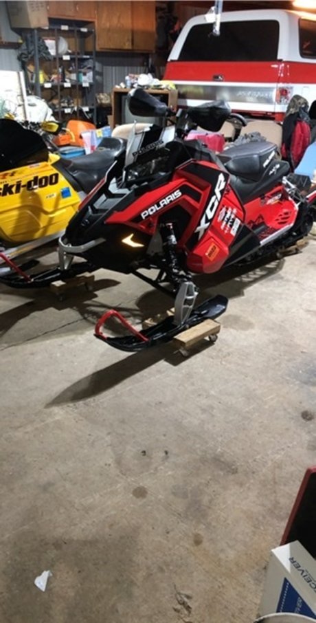 Sledhead free pornstar img