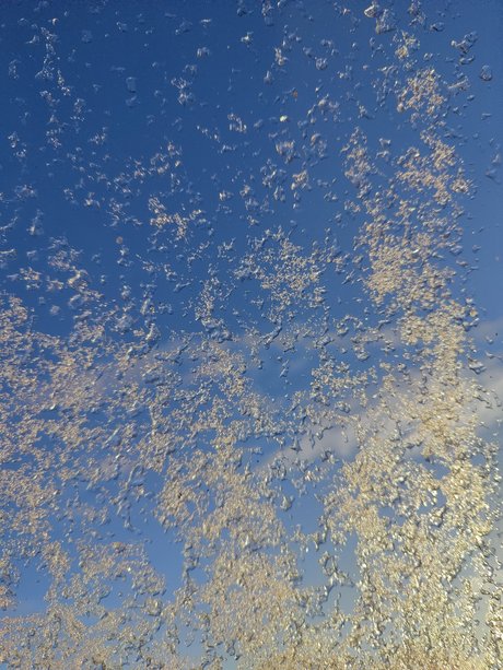 Potatis nudes pornstar images