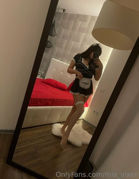 mia vixen porn model picture