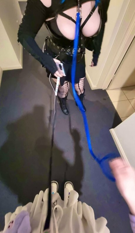 Will o wisps star high quality archive