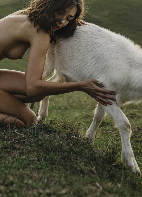 Julia Slip adult actress image