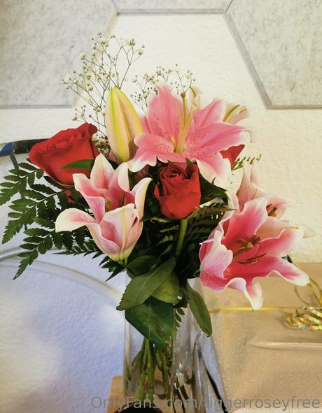 tiggerroseyfree pornstar nice galleries