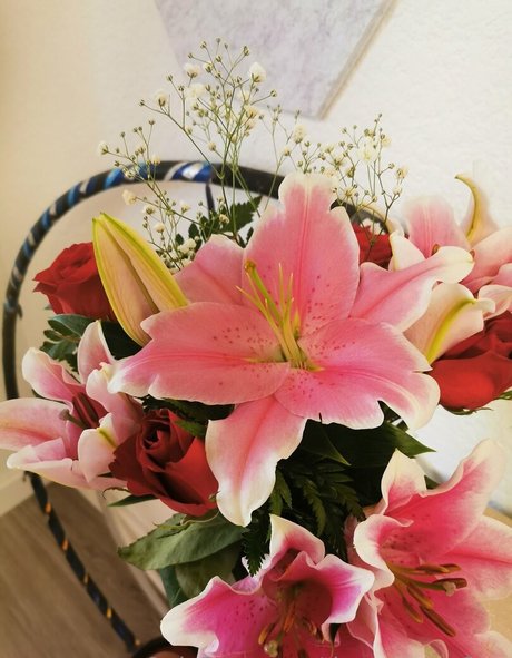 tiggerroseyfree high quality star img