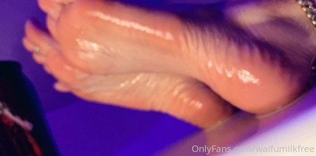 waifufeetmilkpaid pornstar erotic archive